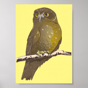 Morepork RURU NZ vogel Poster