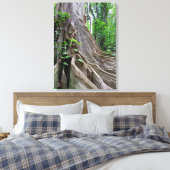 Moreton Bay Fig Tree Roots Canvas Afdruk (Insitu (Slaapkamer))