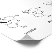 Morfine Chart Poster (Hoek)