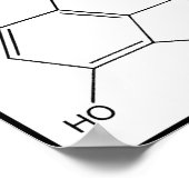 MORFINE CHEMISCHE STRUCTUUR POSTER (Hoek)