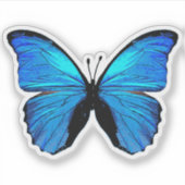 Morfoblauwe vlinder sticker (Voorkant)