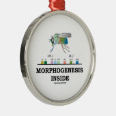 Morfogenese in Drosophila Fruit Fly Genes Metalen Ornament (Rechts)