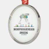 Morfogenese in Drosophila Fruit Fly Genes Metalen Ornament (Links)