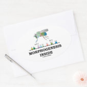 Morfogenese in Drosophila Fruit Fly Genes Ovale Sticker (Envelop)