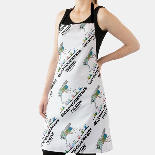 Morfogenese in Drosophila Fruit Fly Genes Schort (Insitu)