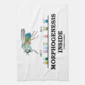 Morfogenese in Drosophila Fruit Fly Genes Theedoek (Verticaal)