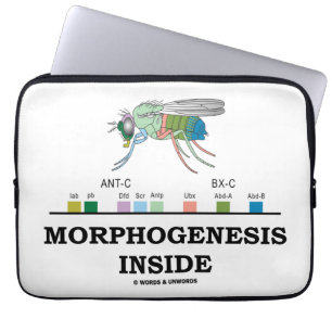 Morfogenese in (Drosophila Homeobox Genes) Laptop Sleeve