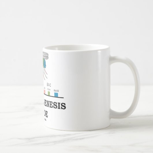 Morfogenesis Inside (Fruit Fly Drosophila Genes) Koffiemok (Rechts)