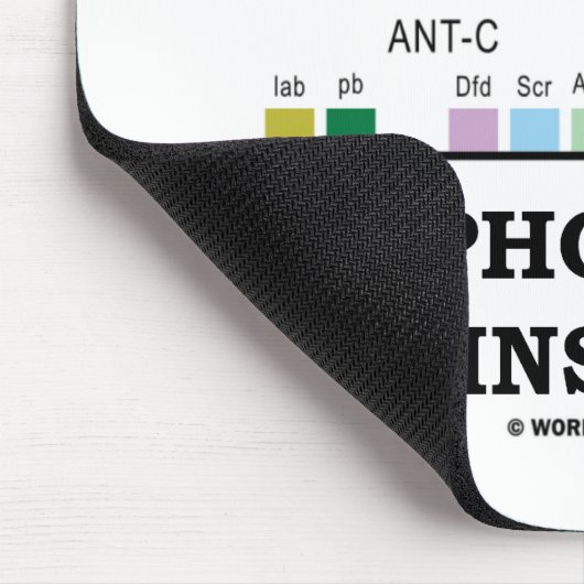 Morfogenesis Inside (Fruit Fly Drosophila Genes) Muismat (Hoek)