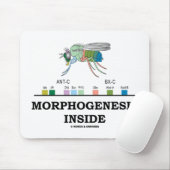 Morfogenesis Inside (Fruit Fly Drosophila Genes) Muismat (Met muis)