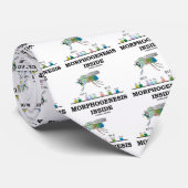 Morfogenesis Inside (Fruit Fly Drosophila Genes) Stropdas (Opgerold)