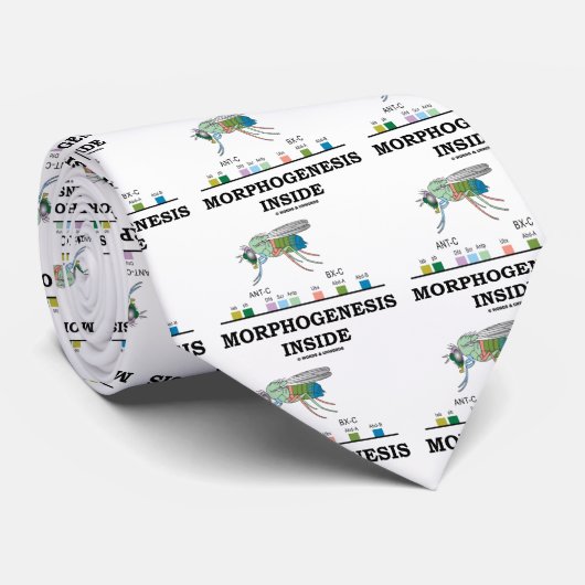Morfogenesis Inside (Fruit Fly Drosophila Genes) Stropdas (Opgerold)