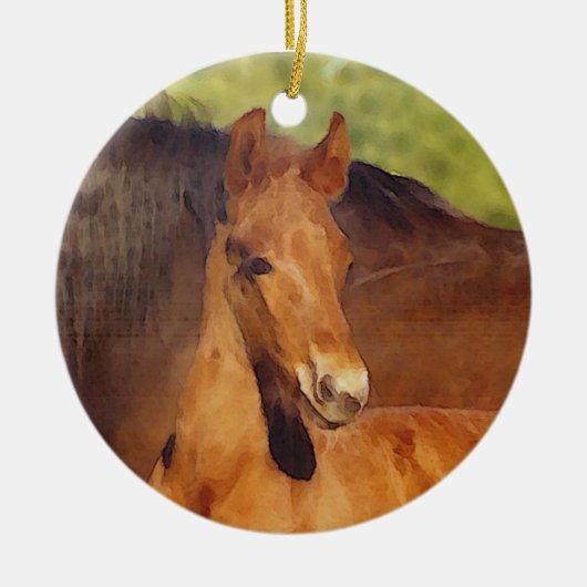 Morgan foal ornament (Voorkant)