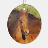Morgan foal ornament (Links)