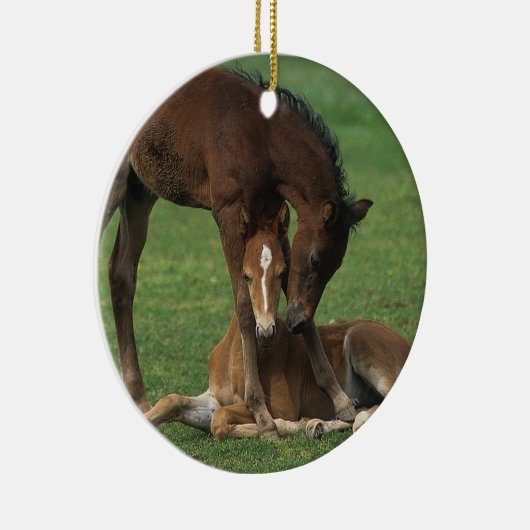 Morgan Foals Play Keramisch Ornament (Rechts)