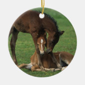 Morgan Foals Play Keramisch Ornament (Voorkant)