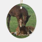 Morgan Foals Play Keramisch Ornament (Links)