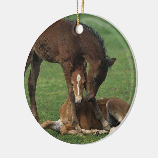 Morgan Foals Play Keramisch Ornament (Links)