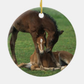 Morgan Foals Play Keramisch Ornament (Achterkant)