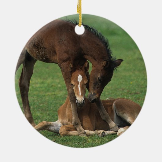 Morgan Foals Play Keramisch Ornament (Achterkant)