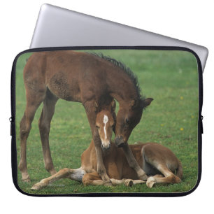 Morgan Foals Play Laptop Sleeve