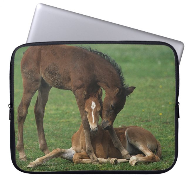 Morgan Foals Play Laptop Sleeve (Voorkant)