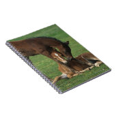 Morgan Foals Play Notitieboek (Rechterzijde)