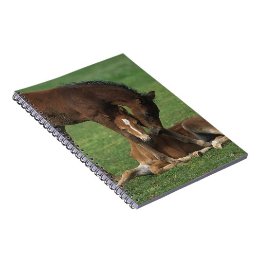 Morgan Foals Play Notitieboek (Rechterzijde)