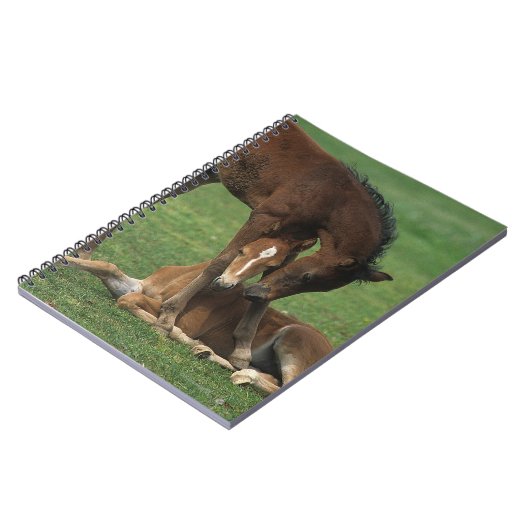 Morgan Foals Play Notitieboek (Linkerzijde)