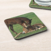 Morgan Foals Play Onderzetter (Linkerzijde)