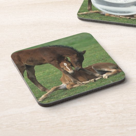 Morgan Foals Play Onderzetter (Linkerzijde)