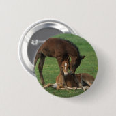 Morgan Foals Play Ronde Button 5,7 Cm (Voorkant /achterkant)