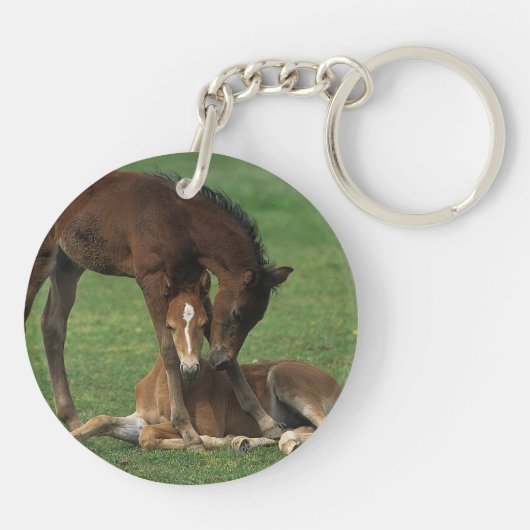 Morgan Foals Play Sleutelhanger (Achterkant)