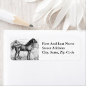 Morgan Horse 1888 tekening Ras Art Etiket (Insitu)