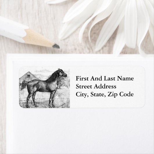 Morgan Horse 1888 tekening Ras Art Etiket (Insitu)