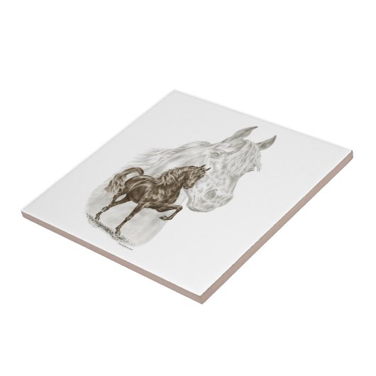 Morgan Horse Art Tegeltje (Zijkant)