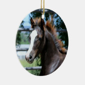 Morgan Horse Baby Ornament (Rechts)