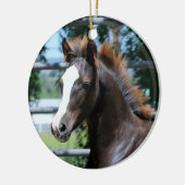 Morgan Horse Baby Ornament (Links)