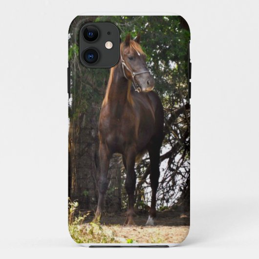 Morgan Horse Case-Mate iPhone Case (Achterkant)