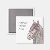 Morgan Horse Magnet (Voorkant / Achterkant)