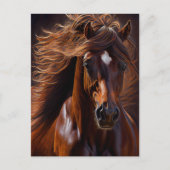 Morgan Horse Oil verf Briefkaart (Voorkant)