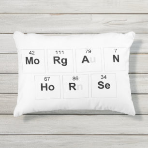 Morgan Horse pillow Buitenkussen