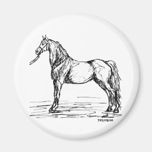 Morgan Horse Simple Sketch Magneet