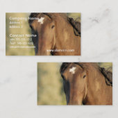 Morgan Horse Visitekaartjes (Voorkant / Achterkant)