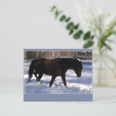 Morgan Horse Winter Wonderland Blank Briefkaart (Staand voorkant)