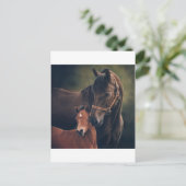 Morgan Mare en Foal Briefkaart (Staand voorkant)