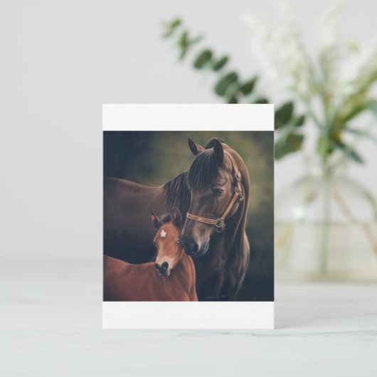Morgan Mare en Foal Briefkaart (Staand voorkant)