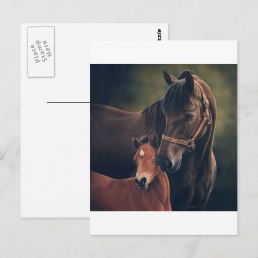 Morgan Mare en Foal Briefkaart (Voorkant / Achterkant)