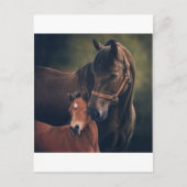 Morgan Mare en Foal Briefkaart (Voorkant)