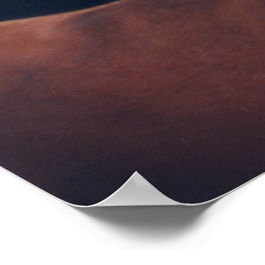 Morgan Mare en Foal van Lynn Peterson Poster (Hoek)